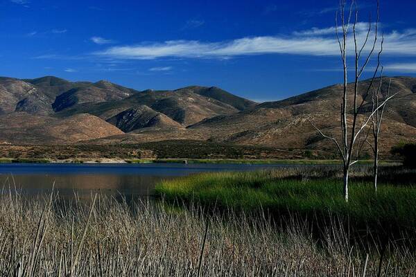 Landscape Poster featuring the photograph Otay Lake by Scott Cunningham