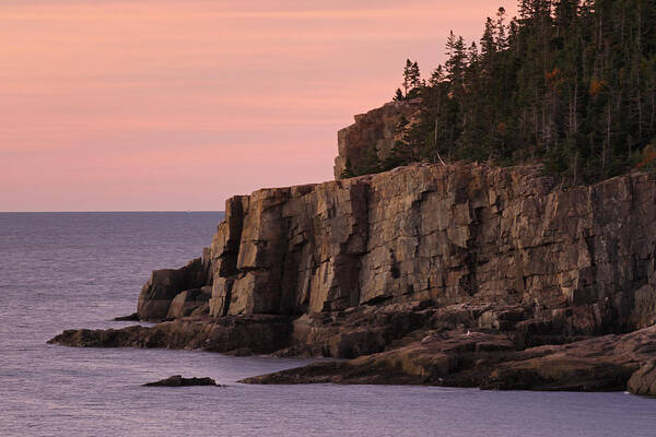 Acadia Poster featuring the photograph Otter Cliff at Dawn by Juergen Roth