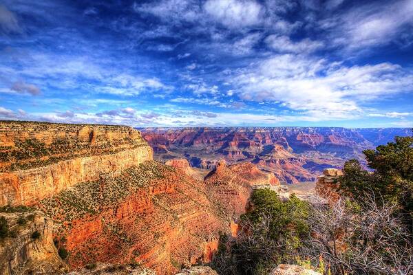 Grand Canyon Poster featuring the photograph Over the Edge by Dave Files