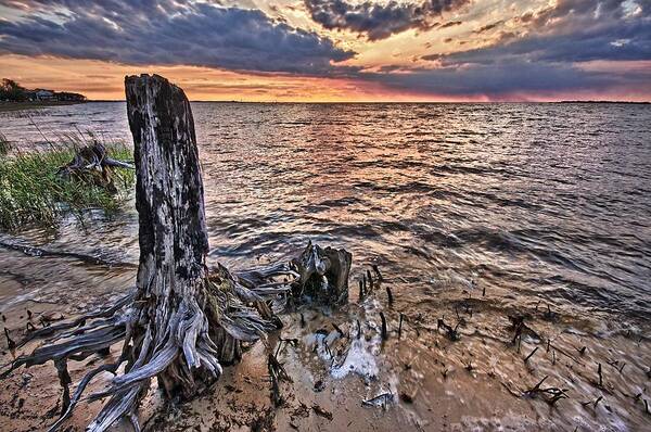 Alabama Poster featuring the digital art Oyster Bay Stump Sunset by Michael Thomas