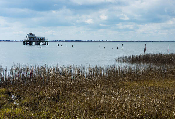 Assateague Poster featuring the photograph Oyster Shack and Tall Grass by Photographic Arts And Design Studio