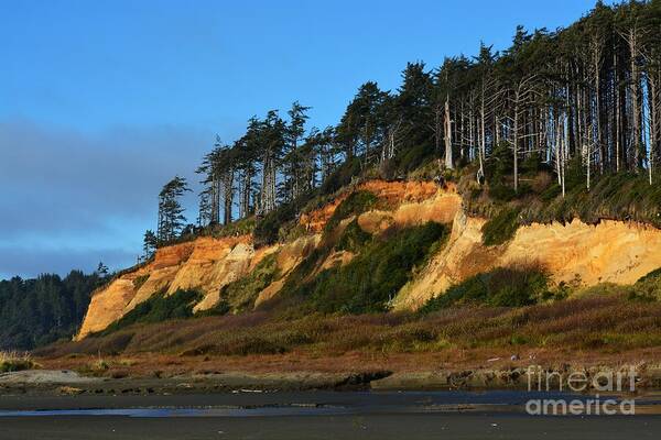 Coastal Poster featuring the photograph Pacific Coastline by Gayle Swigart