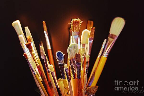 Paintbrushes Poster featuring the photograph Paintbrushes by Amalia Suruceanu