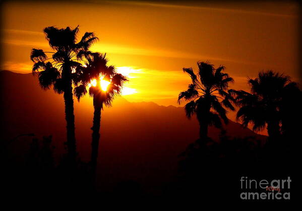 Sunset Poster featuring the photograph Palm Desert Sunset by Patrick Witz