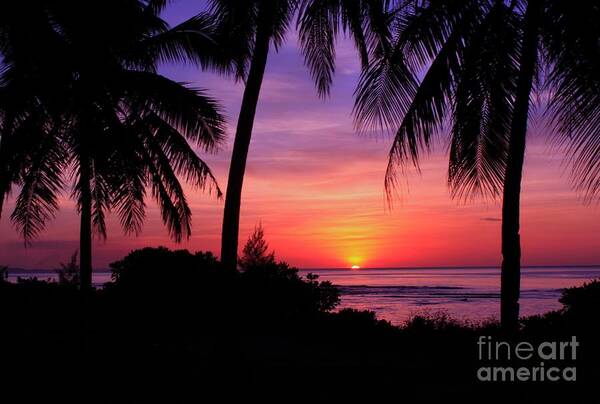 Beautiful-sunsets Poster featuring the photograph Palm Tree Sunset in Paradise by Scott Cameron