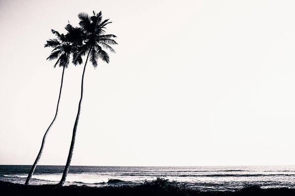 Empty Poster featuring the photograph Palm Trees And Beach Silhouette by Chrispecoraro