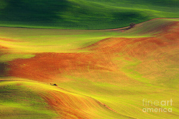 Fields Poster featuring the photograph Palouse Patterns by Beve Brown-Clark Photography