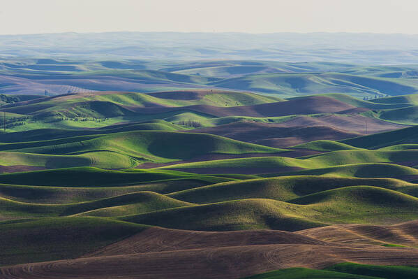 Palouse Colfax Washington Poster featuring the photograph Palouse Rolling wheat hills by Hisao Mogi