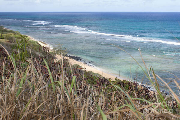 Beach Poster featuring the photograph Paradise Overlook by Suzanne Luft