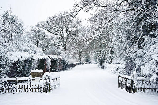 Winter Poster featuring the photograph Path through English rurual countryside in Winter with snow by Matthew Gibson