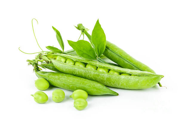 Peas Poster featuring the photograph Pea pods and green peas by Elena Elisseeva