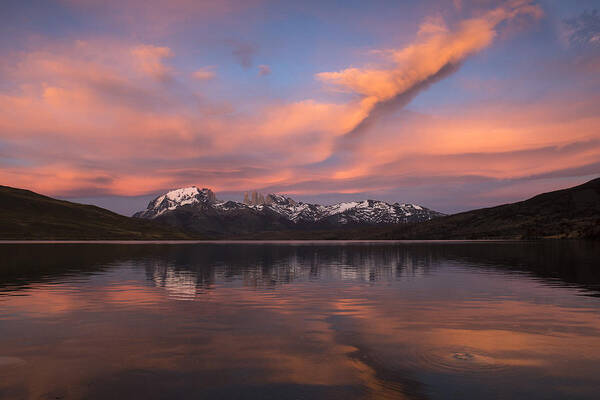 Pete Oxford Poster featuring the photograph Pehoe Lake At Sunset Paine Massif by Pete Oxford