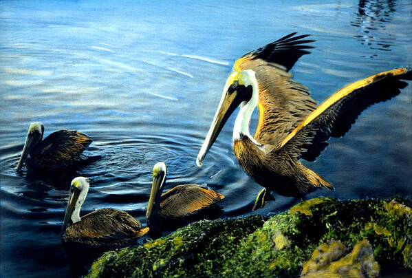 Pelicans Poster featuring the painting Pelicans by Cindy McIntyre