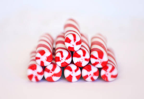 Christmas Card Art Poster featuring the photograph Peppermint Twist - Candy Canes by Kim Hojnacki