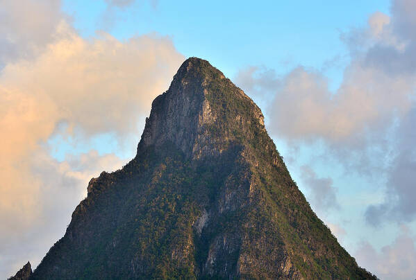 saint Lucia Poster featuring the photograph Petit Piton - Saint Lucia by Brendan Reals