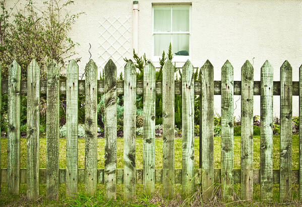 Back Poster featuring the photograph Picket fence by Tom Gowanlock