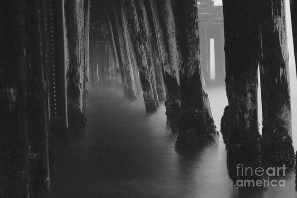 Pier Poster featuring the photograph Pillars and Fog 1 by Paul Topp