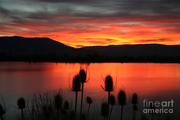 Pineview Poster featuring the photograph Pineview Dawn by Bill Singleton