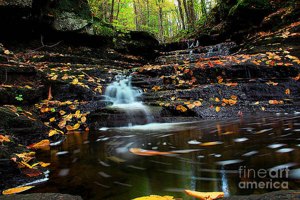 Landscape Poster featuring the photograph Pipestem Falls by Melissa Petrey