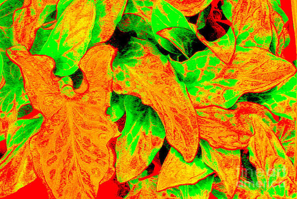 Abstract Orange And Green Plany Negative And Positive Space Photography Poster featuring the painting Plants by Vivian Cook