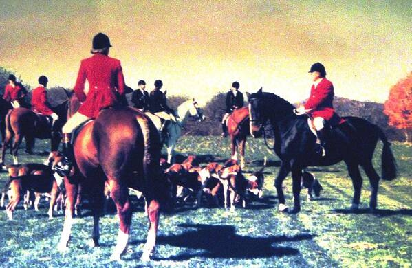 Foxhunting Poster featuring the photograph Plum Run Hunt Opening Day by Angela Davies