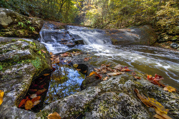 Appalachia Poster featuring the photograph Pool Reflections by Debra and Dave Vanderlaan