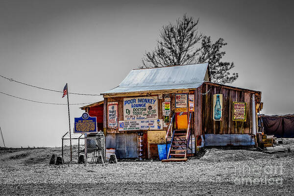 Mississippi Poster featuring the photograph Poor Monkey Lounge by Jim Raines