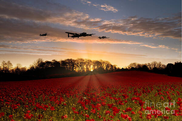 Avro Poster featuring the digital art Poppy Field Pass by Airpower Art