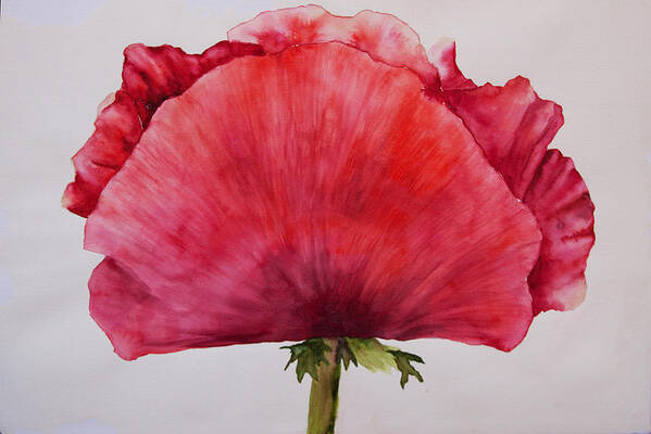 Poppy Poster featuring the painting Poppy by Sally Quillin