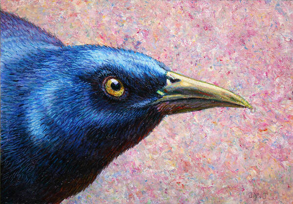 Grackle Poster featuring the painting Portrait of a Grackle by James W Johnson