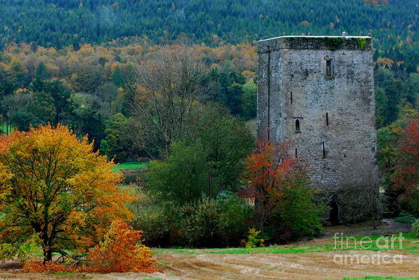 An Autumn Scene Of Poulakerry Castle On The Banks Of The River Suir At Poulakerry Poster featuring the photograph Poulakerry Castle by Joe Cashin