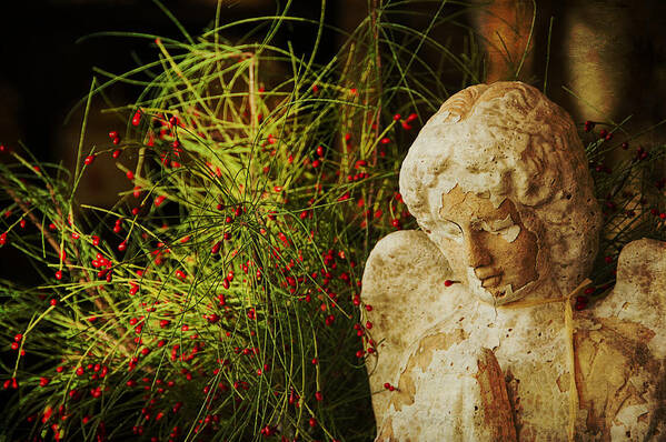 Angel Poster featuring the photograph Praying for Peace by Terry Rowe