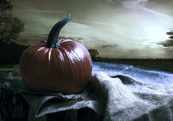 Pumpkin Poster featuring the photograph Pumpkin At Sunset by Amanda Elwell