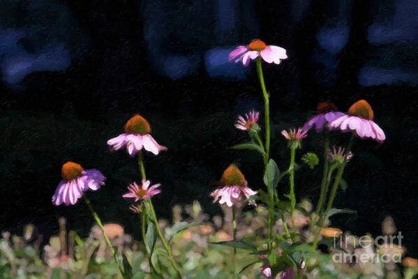 Purple Coneflowers Poster featuring the photograph Purple Coneflowers Echinacea by Linda Matlow