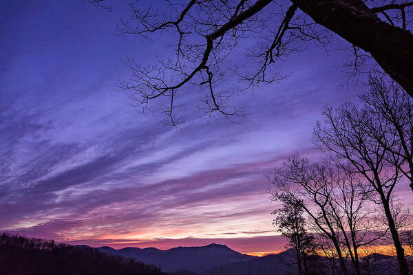 Great Smoky Mountains Poster featuring the photograph Purple Mountains by Maria Robinson