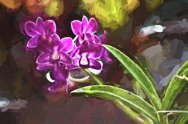 Artwork Poster featuring the photograph Purple Vanda Orchid Honolulu, Oahu by Joe Carini