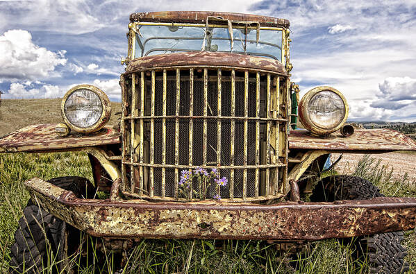 Truck Poster featuring the photograph Pushin' Up Daisies by Ron Weathers