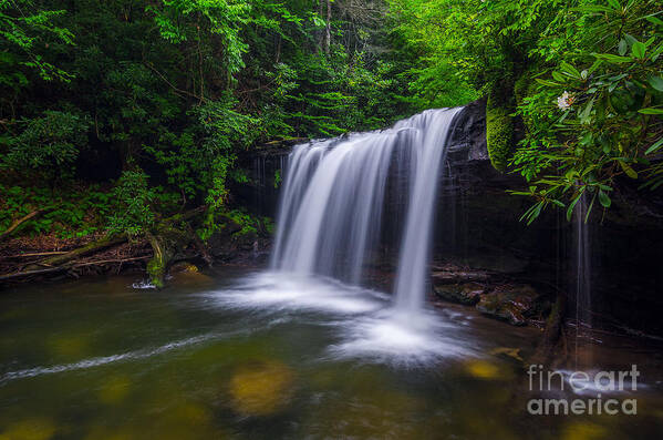 Martins Fork Creek Poster featuring the photograph Quadrule falls summer by Anthony Heflin