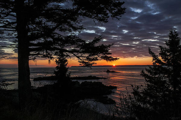 Quoddy Head State Park Poster featuring the photograph Quoddy Sunrise by Marty Saccone