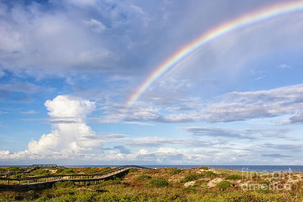 Rainbow Poster featuring the photograph Rainbow over Amelia Fernandina Beach Florida by Dawna Moore Photography