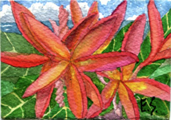 Hawaiian Poster featuring the painting Rainbow Plumeria by Eric Samuelson