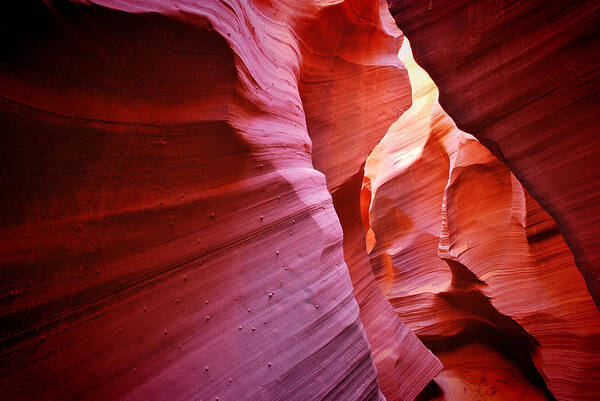 America Poster featuring the photograph Rattlesnake Canyon - Arizona by Gregory Ballos