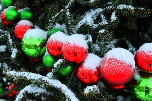 Red And Green Christmas Ornaments Poster featuring the photograph Red and Green Christmas Ornaments by Suzanne DeGeorge