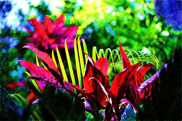 Eden Poster featuring the photograph Red and Green Plants by Richard Zentner