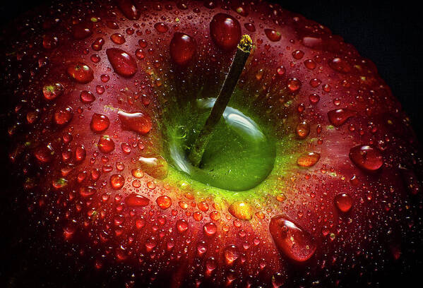 Still Life Poster featuring the photograph Red Apple by Aida Ianeva