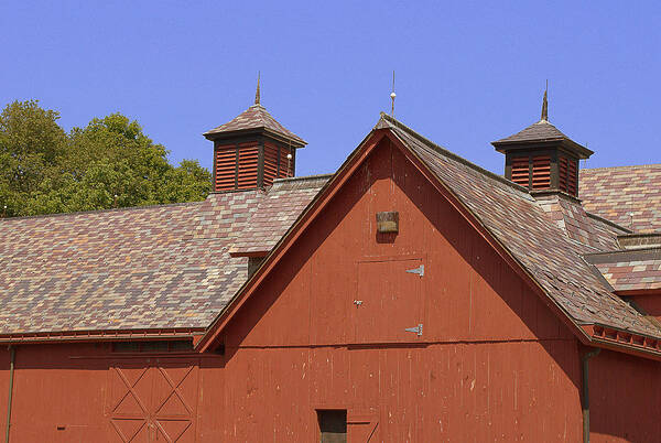 Barn Poster featuring the photograph Red Barn by Judy Salcedo