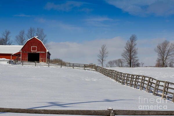 Red Poster featuring the photograph Red Barn by Les Palenik