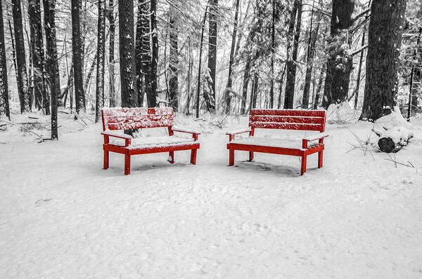 Trees Poster featuring the photograph Red Benches by Cathy Kovarik