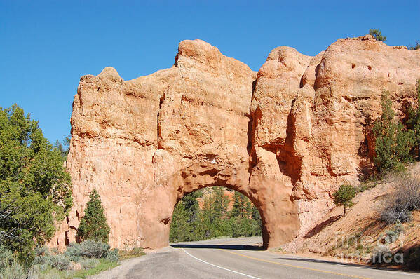 Red Canyon Poster featuring the photograph Red Canyon Tunnel by Debra Thompson