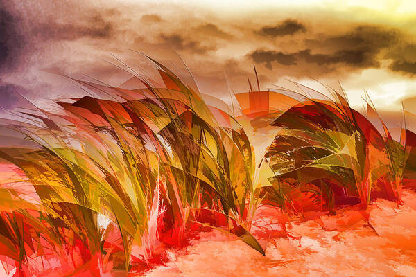 Beach Poster featuring the photograph Red Grass by Mary Underwood